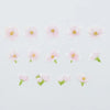 Bande - Somei Yoshino Cherry Blossom Washi Sticker Roll